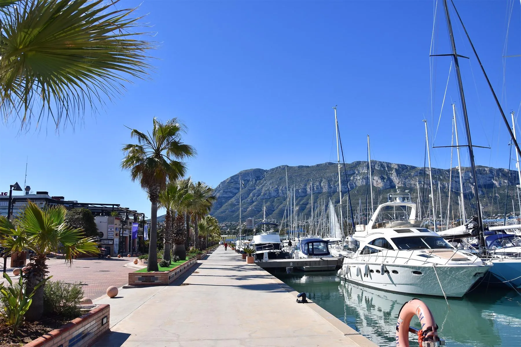 Wandelpromenade met palmbomen langs de jachthaven van Dénia