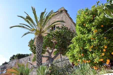 denia kasteel met sinaasappelboom EF