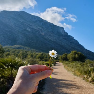 View of the Montgo Massif in Denia, Spain. Also known as Elepha View of the Montgo Massif in Denia, Spain. Also known as Elepha